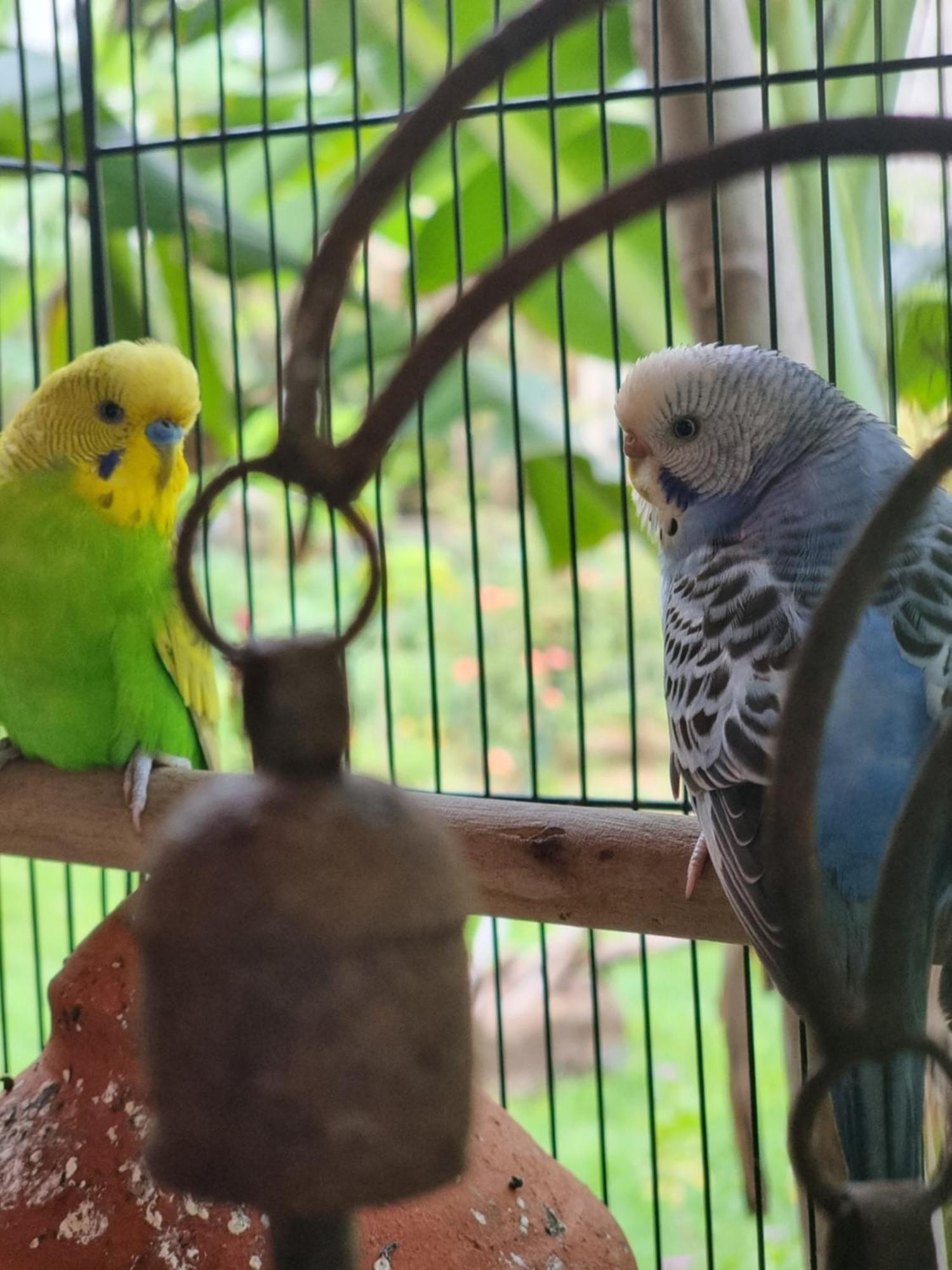 ดรีม วิชั่น เกสต์เฮาส์ ดีอู ภายนอก รูปภาพ